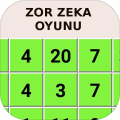 ZekaOyunu