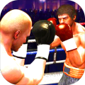 PUNCHBOXINGSTAR加速器