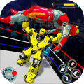 GrandRobotRingFighting2020