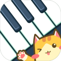 PianoCat2019