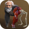 IdleEvolution