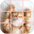 SuperCutePuzzle