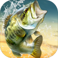 BIGFISHKING