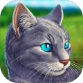CatSimulator