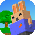 RabbitJumping