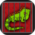 GreenIguanaRescue