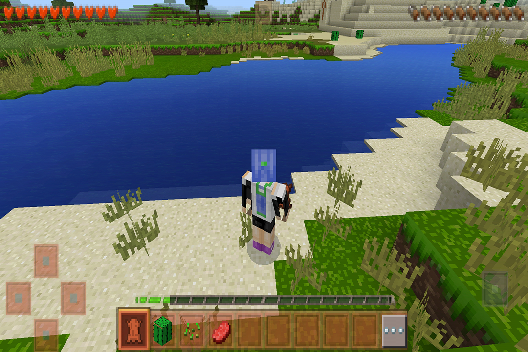 生存战争2软件封面