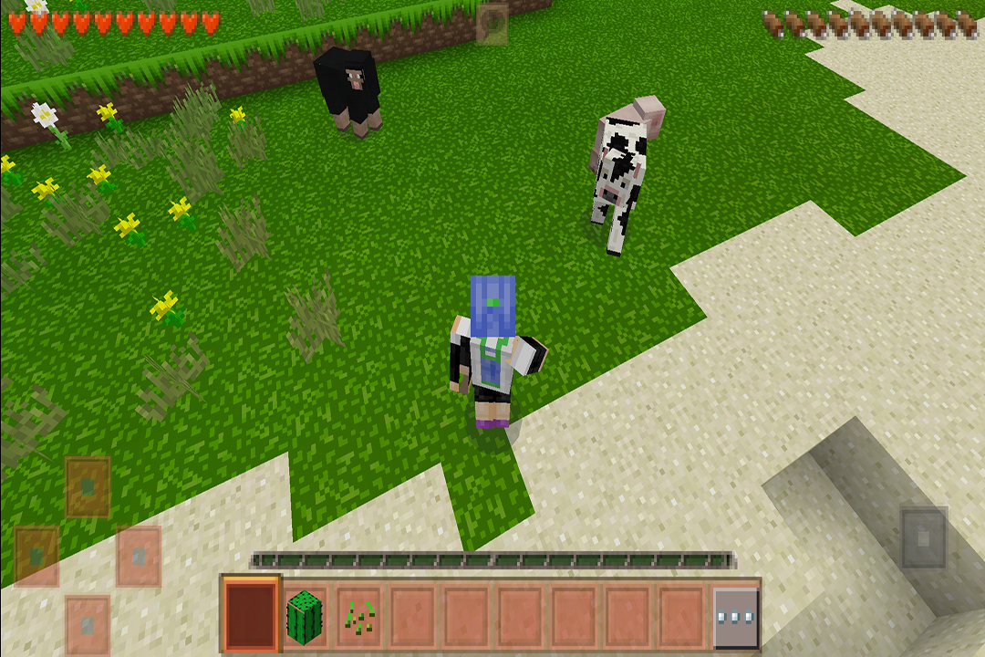 生存战争2软件封面