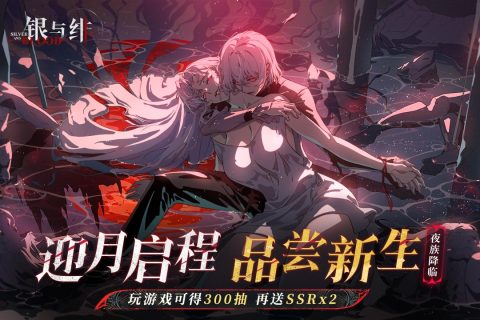 銀與緋截圖4