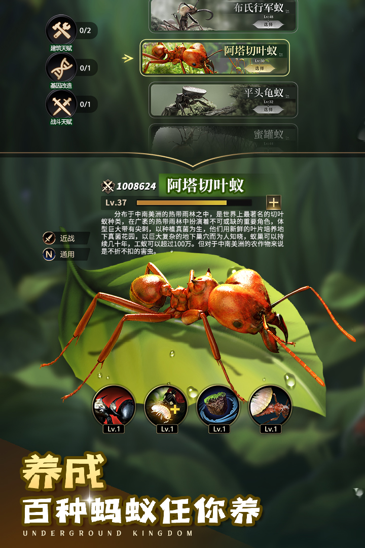 小小蚁国截图1