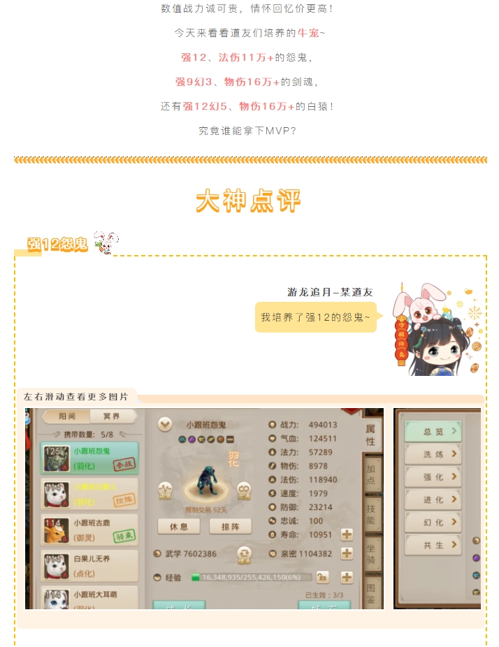 【攻略分享】宠物点评