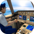  Flight simulator 2021