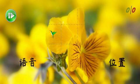 聪敏截图2