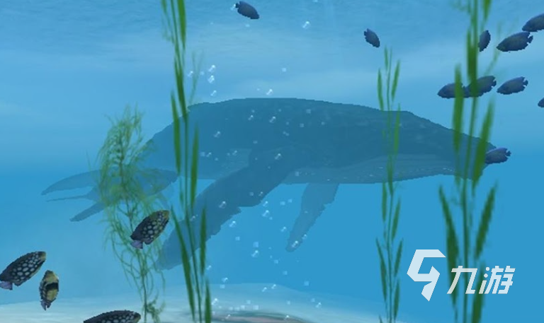 鲨鱼游戏下载2022 鲨鱼游戏最新版本下载链接