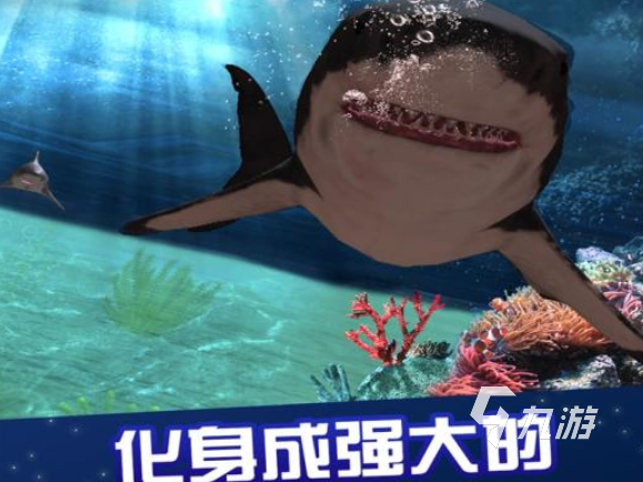 2022模拟鱼3d游戏下载 模拟鱼3d游戏下载排行榜