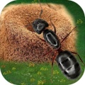 蚂蚁地下蚁国加速器
