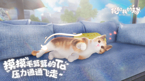 我和我的猫截图1