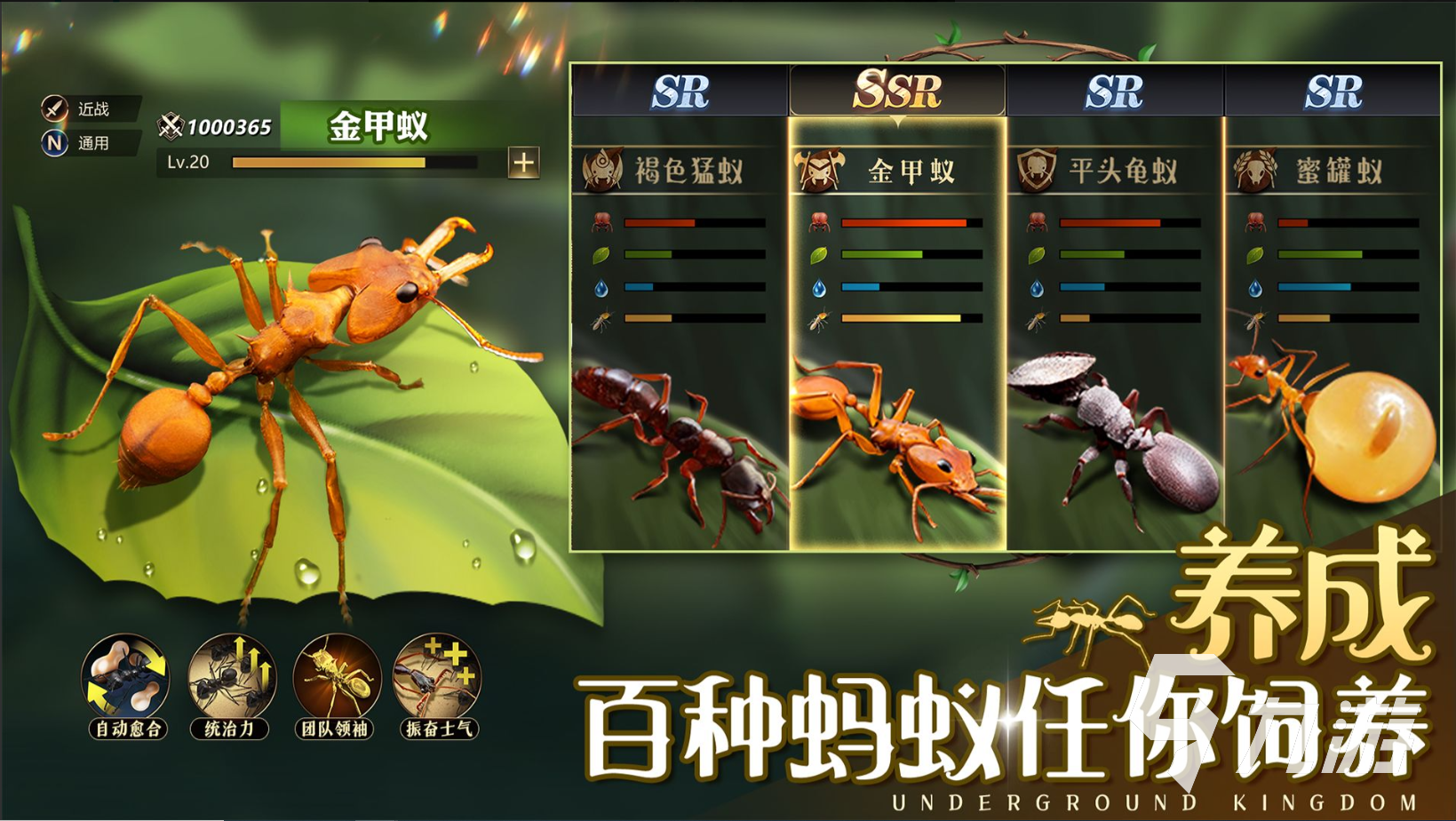 小小蚁国蚂蚁排行 小小蚁国强力蚂蚁选择推荐