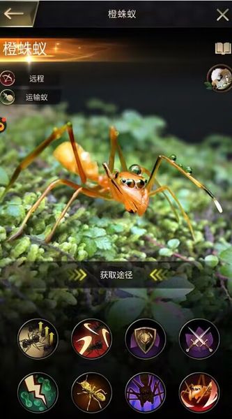 小小蚁国什么蚂蚁厉害 不同类型强力蚂蚁推荐