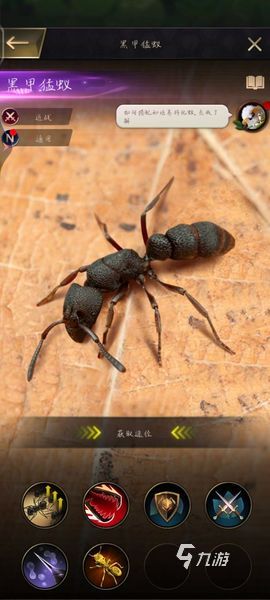 小小蚁国黑色猛蚁值得培养吗 黑甲猛蚁强度分析