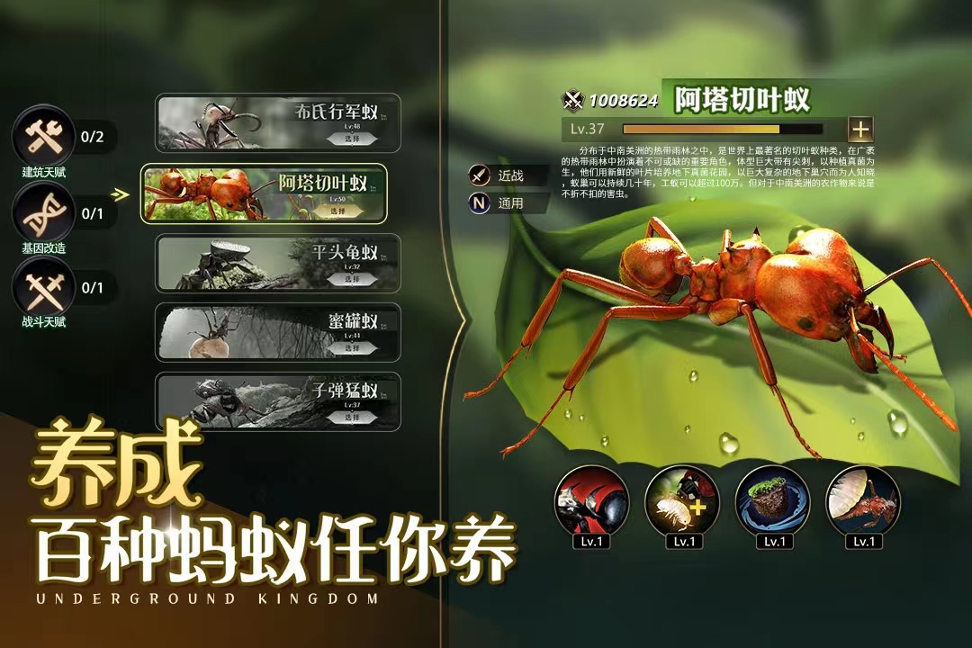 2022年流行的游戏有哪些 受欢迎的流行游戏推荐
