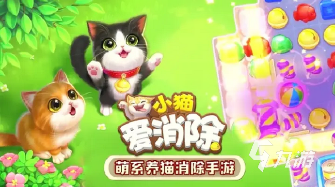 2022关于猫猫的游戏有哪些 好玩的猫猫游戏推荐