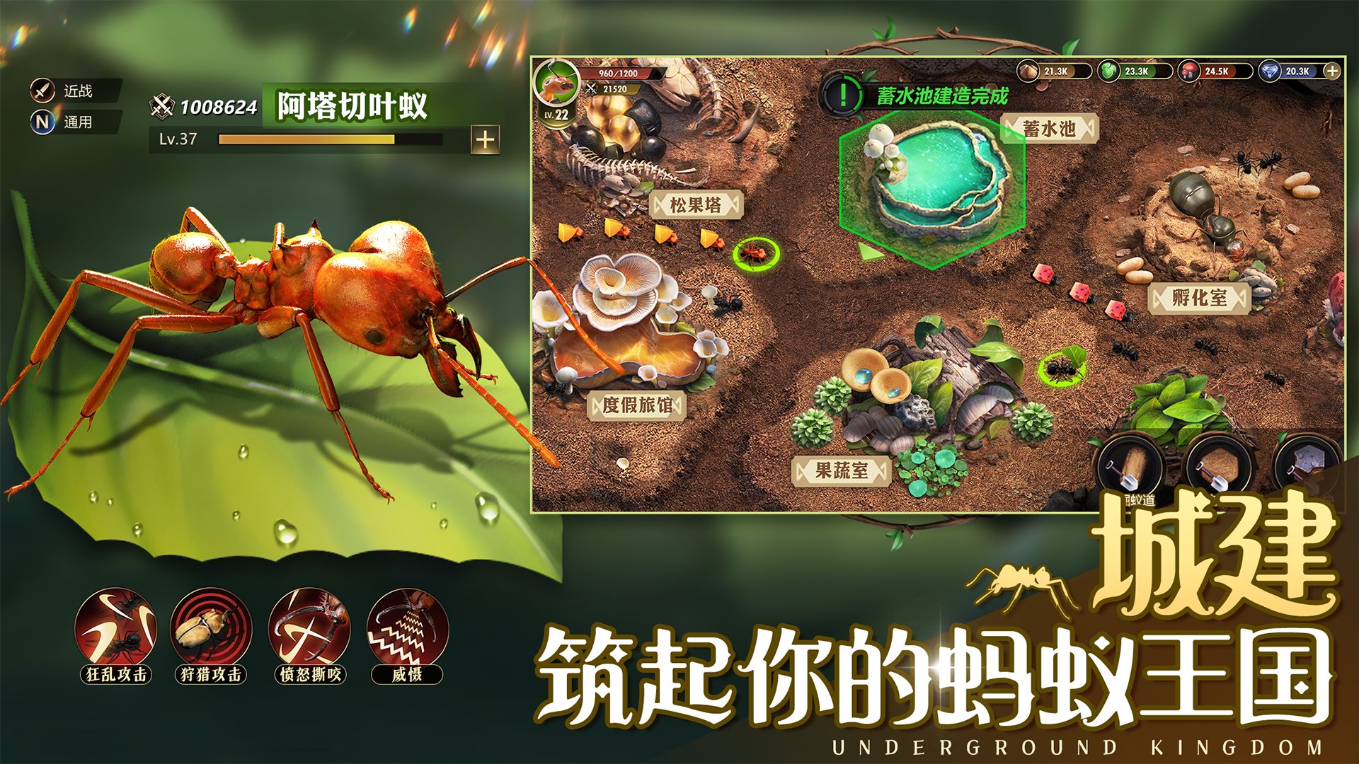 小小蚁国卖号首选哪个平台​ 安全的小小蚁国卖号平台推荐