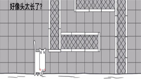 猫猫爱冒险截图