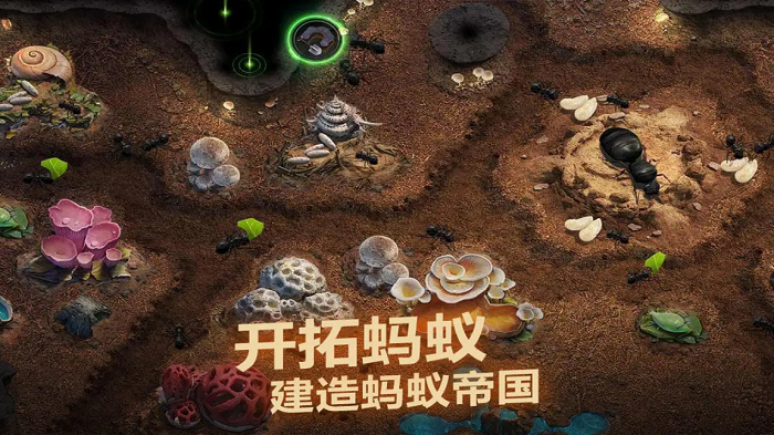 小小蚁国账号交易平台哪个更好 可以靠谱买小小蚁国账号的平台推荐