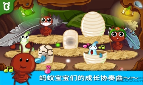 寶寶認(rèn)螞蟻截圖