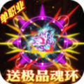 勇者之心魂环大陆加速器