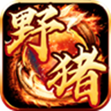 野猪神途加速器