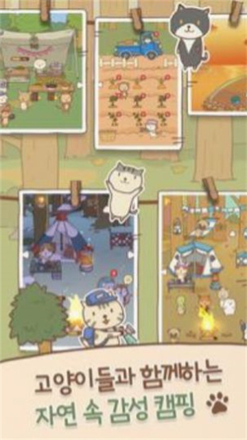 猫猫露营截图1