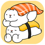 盘起猫咪加速器