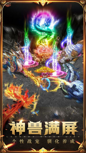 鳳凰合擊之鎮(zhèn)魔截圖1