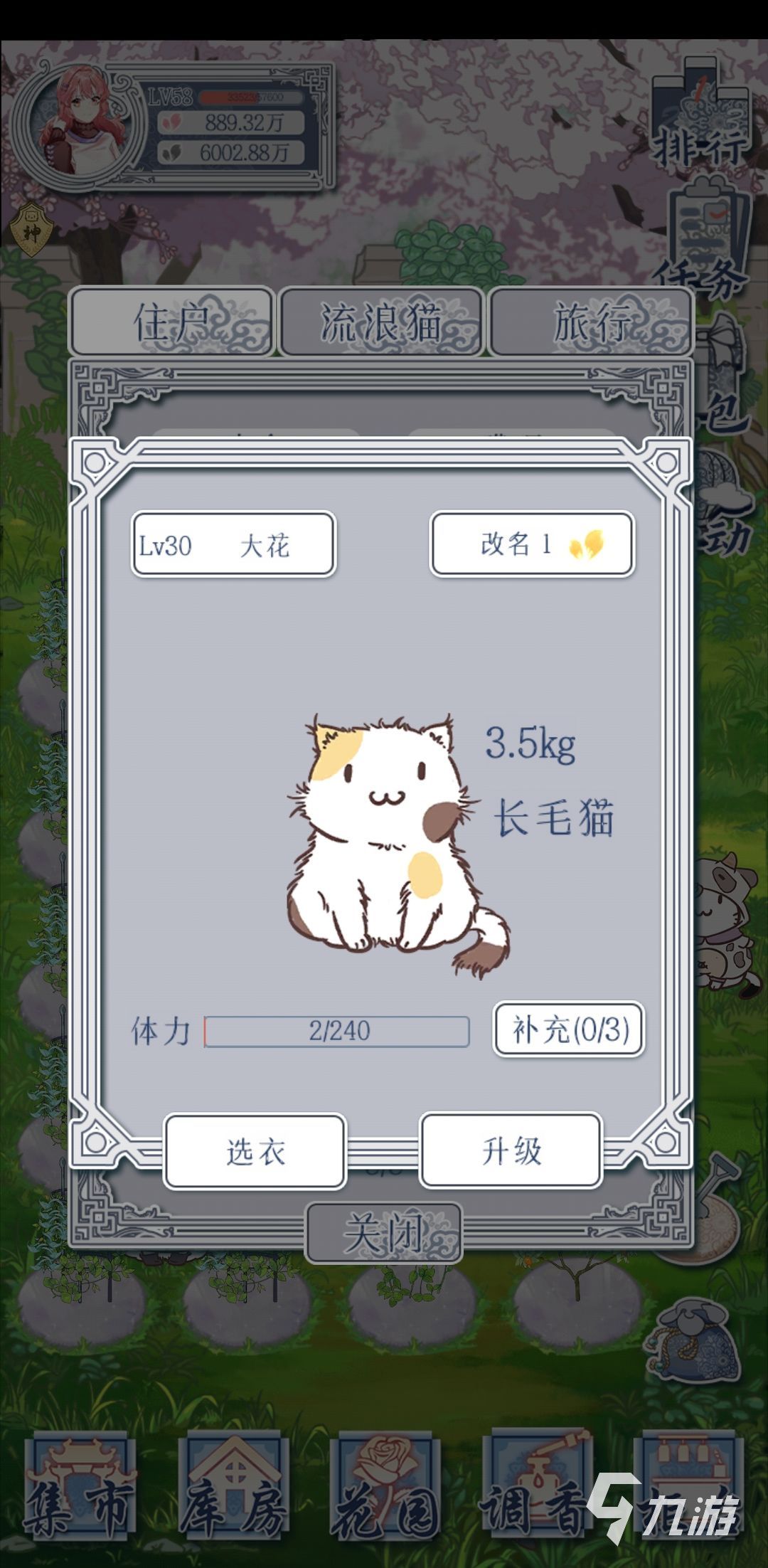 花与香水与猫旅行组合方法 猫咪旅行配方分享