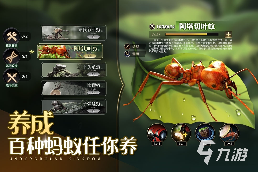 小小蟻國賬號從哪里購買 購買小小蟻國賬號的平臺叫什么