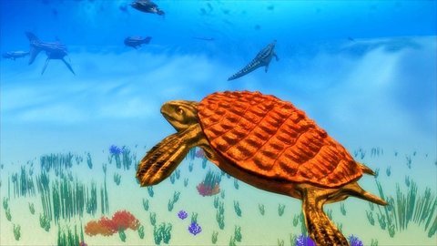 古海龜模擬器截圖2