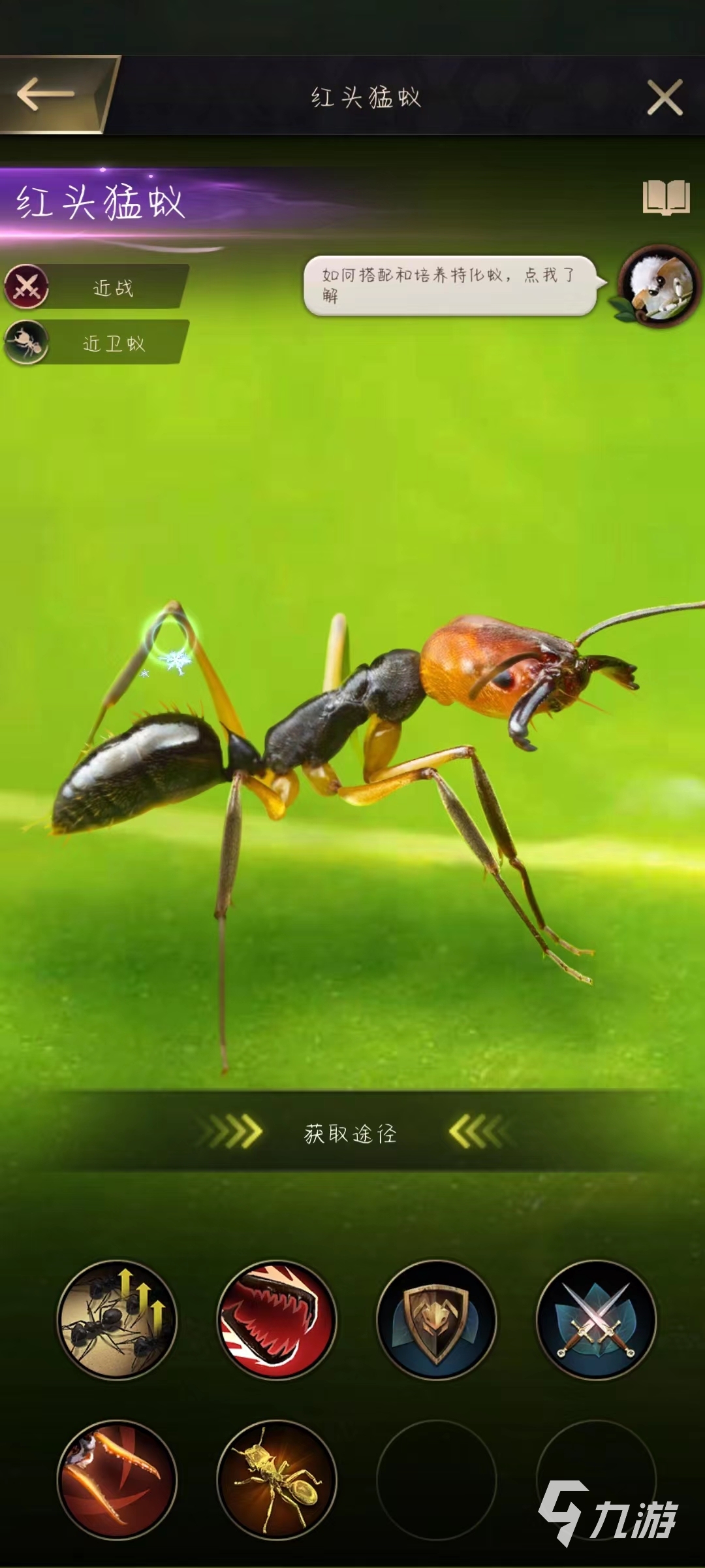 小小蚁国蚂蚁攻略 平民玩家特化蚁推荐
