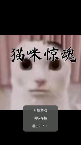 貓貓?bào)@魂好玩嗎 貓貓?bào)@魂玩法簡(jiǎn)介