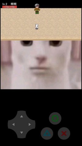 猫猫惊魂截图1
