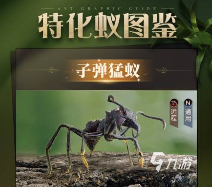 小小蚁国子弹猛蚁好用嘛 子弹猛蚁实力技能介绍