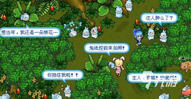 皮卡堂冬仙草多少钱 皮卡堂冬仙草价格分析