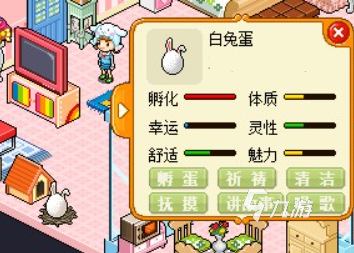 皮卡堂宠物交配该怎么做 皮卡堂宠物交配方法分享