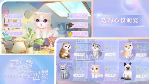 真人秀之宅世界截图1