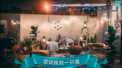 寻找猫2截图2