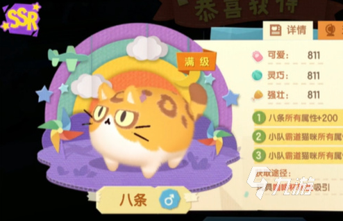 猫咪公寓2排行榜 全猫猫强度实力一览