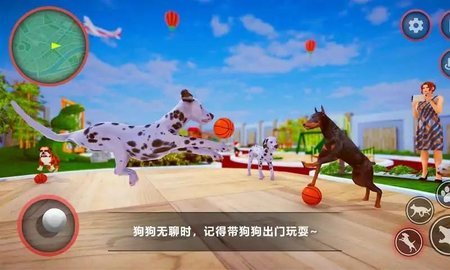 狗狗家庭陪伴截圖2