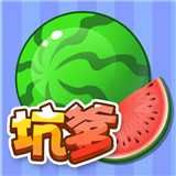 坑爹大西瓜加速器