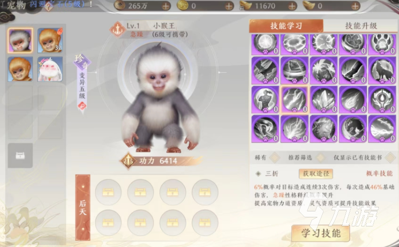 天龙八部2手游旺财怎么样 旺财宠物强度介绍